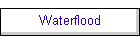 Waterflood